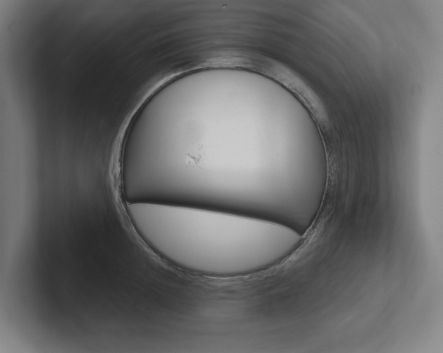X0000102870852200808181044