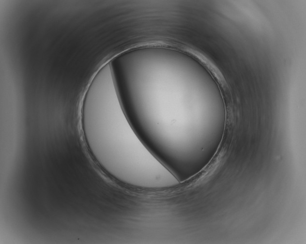 X0000102870858200808181044