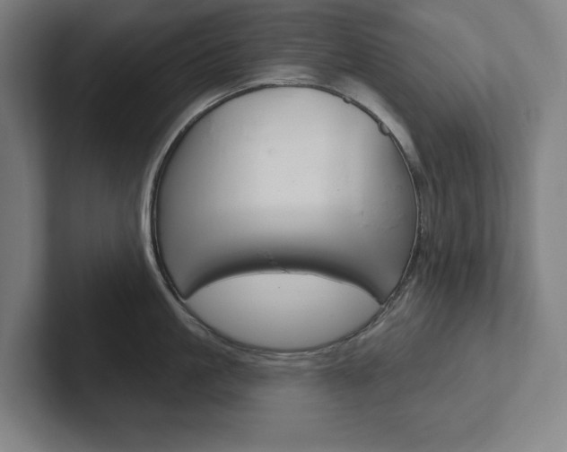 X0000102870861200808181044
