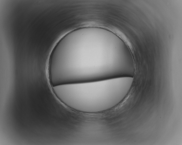 X0000102870863200808181044