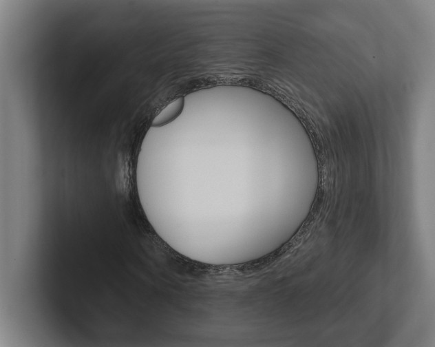 X0000102870866200808181043