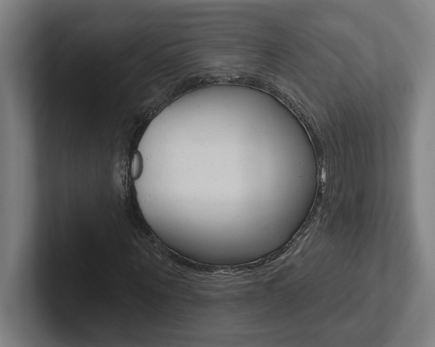 X0000102870867200808181043