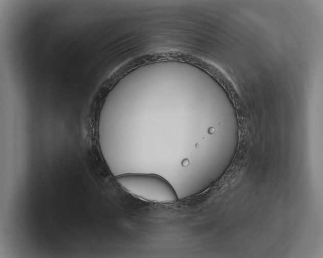 X0000102870871200808181043