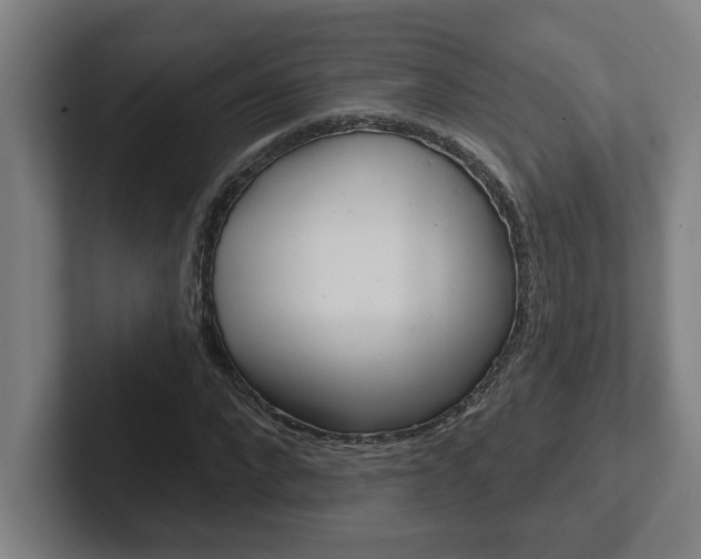 X0000102870872200808181043