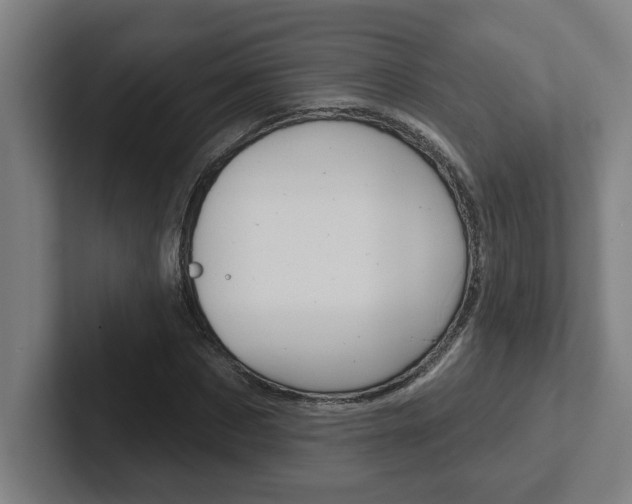 X0000102870873200808181043