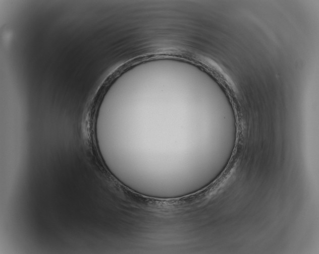 X0000102870875200808181043