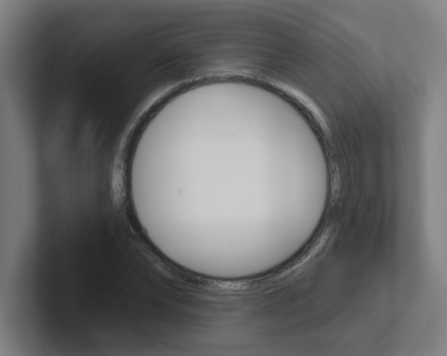 X0000102870878200808181043