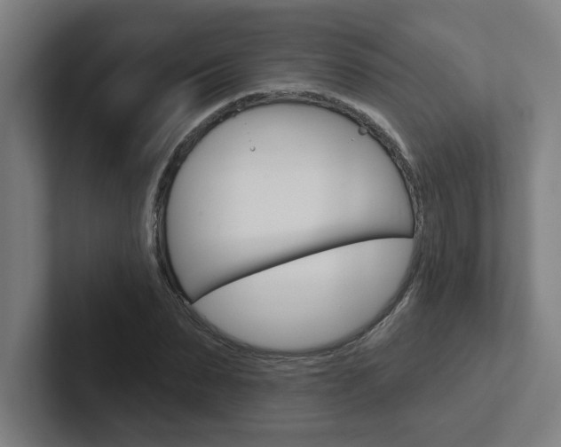 X0000102870879200808181043