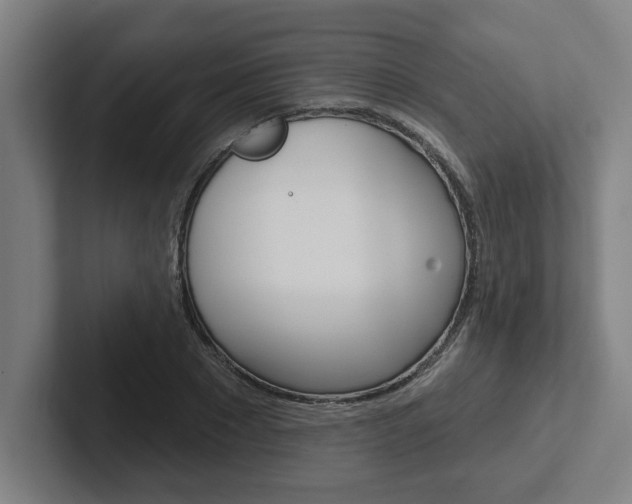 X0000102870881200808181043