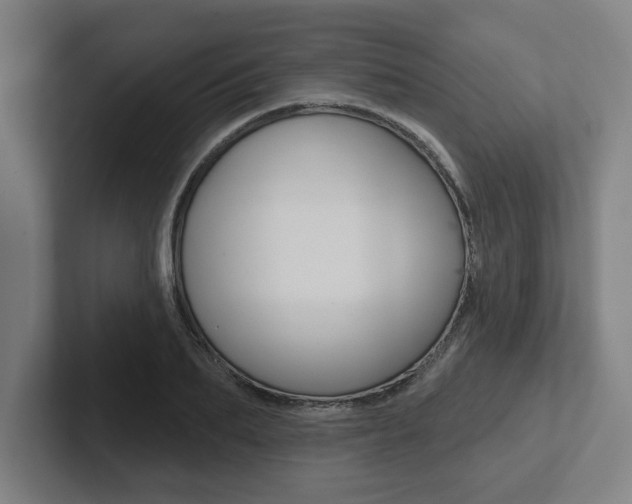 X0000102870887200808181043
