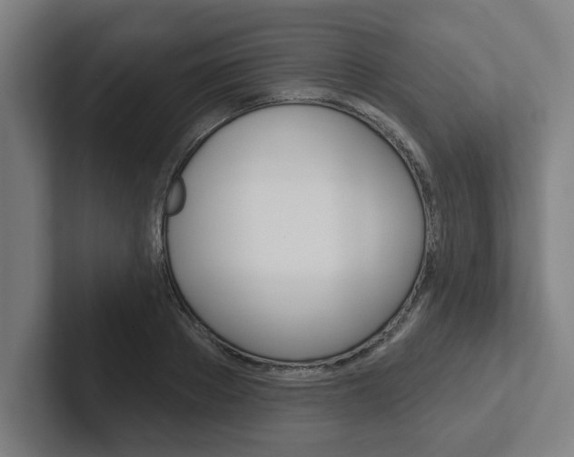 X0000102870889200808181043
