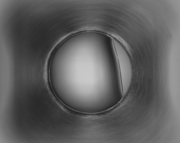 X0000102870894200808181043