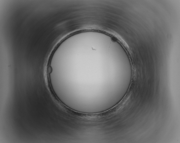 X0000102870895200808181043