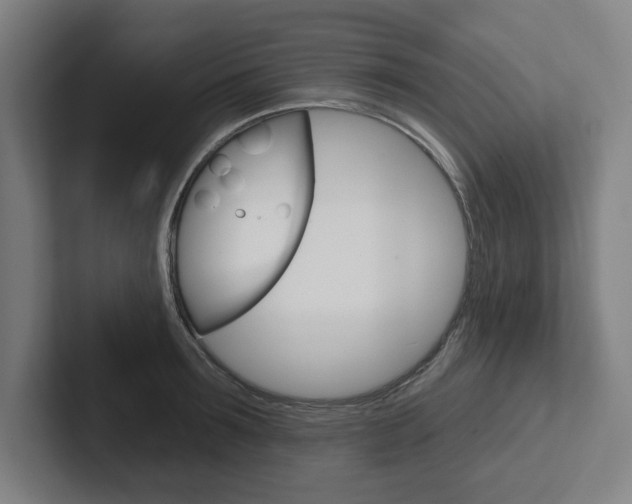X0000102870899200808181043