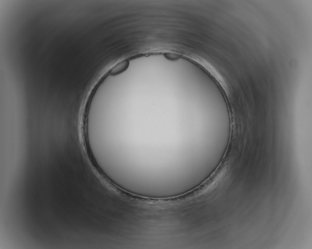 X0000102870901200808181043