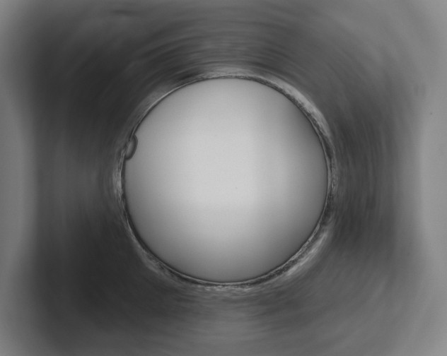 X0000102870905200808181043
