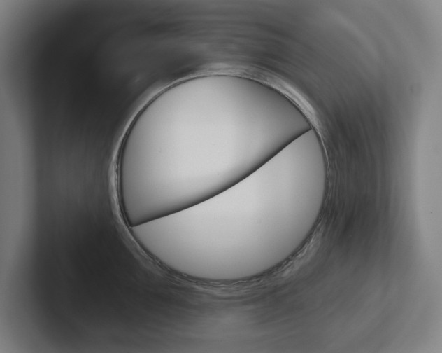X0000102870907200808181043