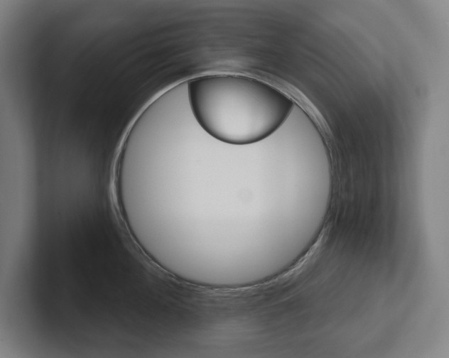 X0000102870908200808181043