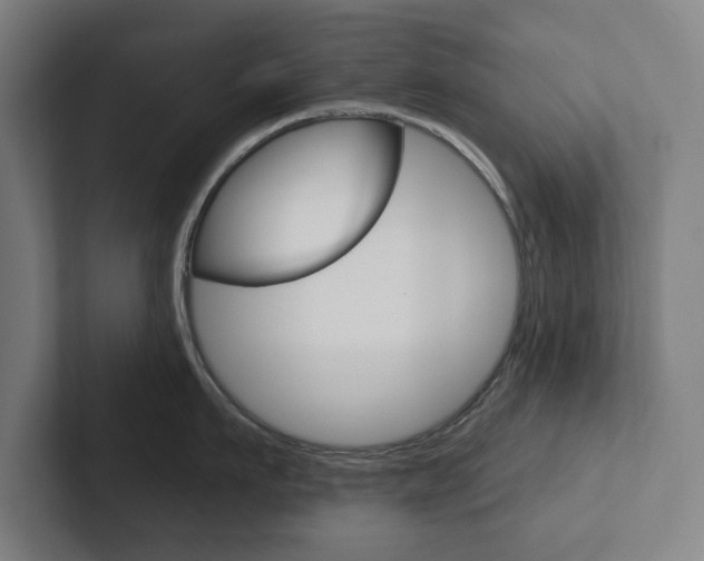 X0000102870911200808181043