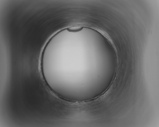 X0000102870912200808181043