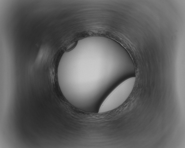 X0000102870915200808181042