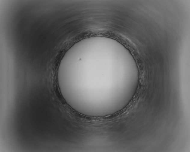 X0000102870917200808181042