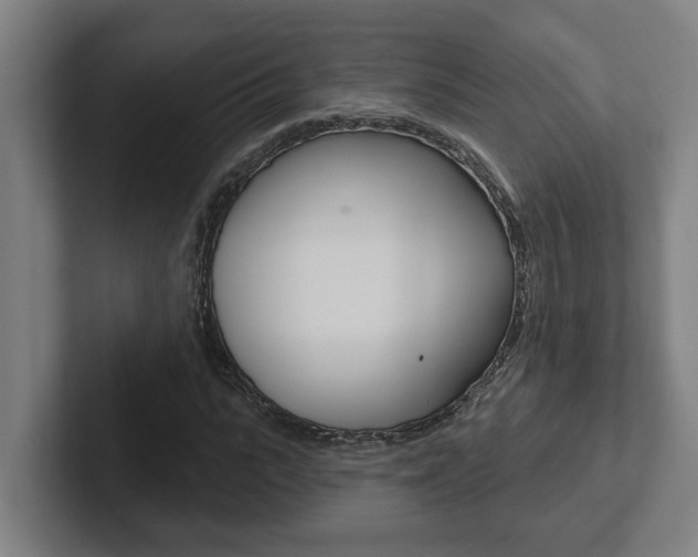 X0000102870919200808181042