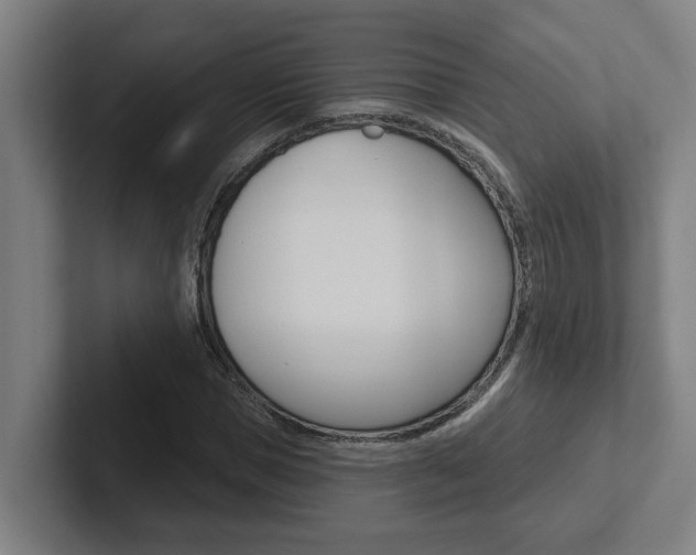 X0000102870921200808181042