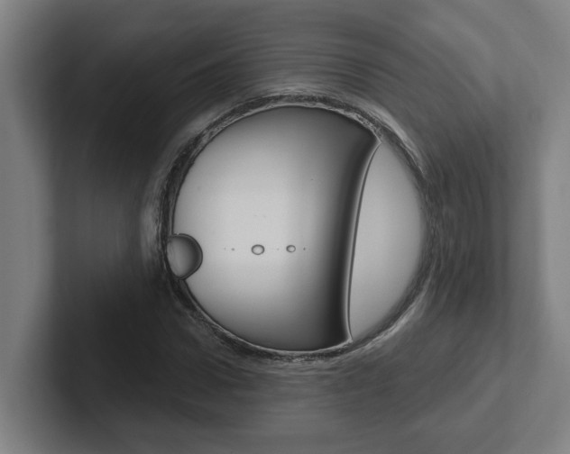 X0000102870922200808181042