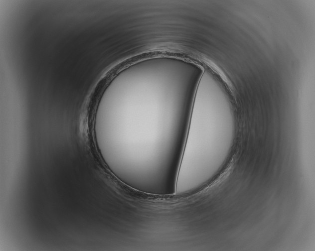 X0000102870923200808181042