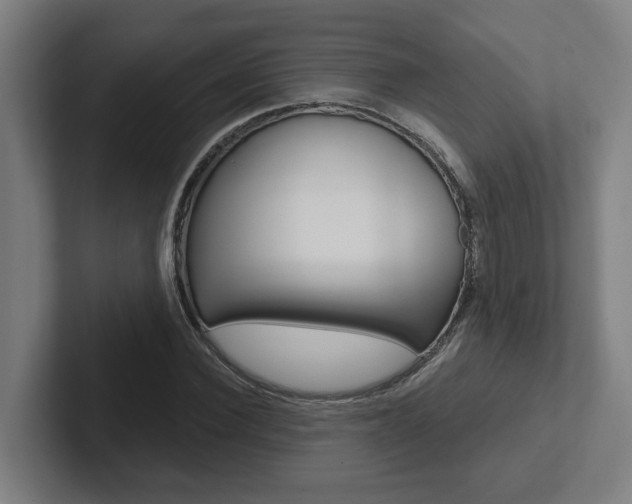 X0000102870924200808181042