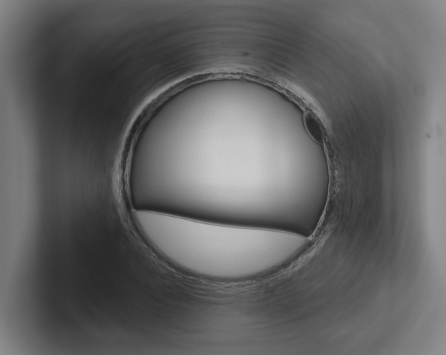 X0000102870928200808181042
