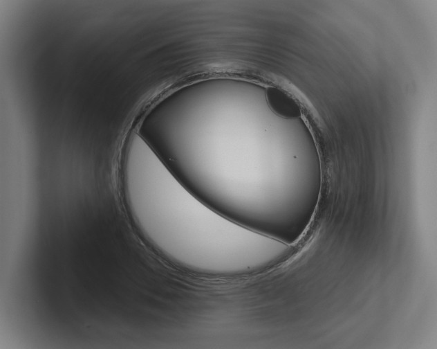 X0000102870930200808181042