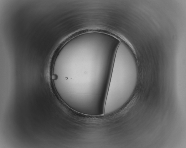 X0000102870935200808181043