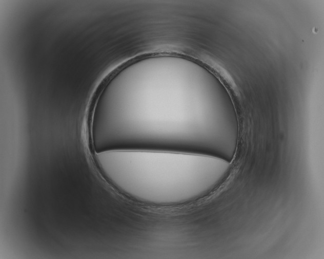 X0000102870936200808181043