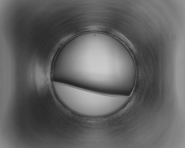 X0000102870938200808181043