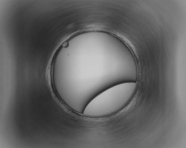 X0000102870941200808181043