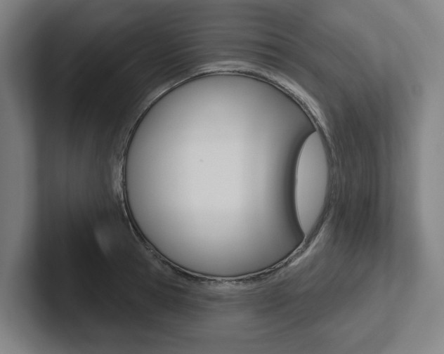 X0000102870945200808181043