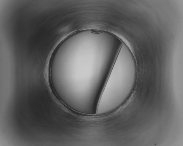 X0000102870949200808181043