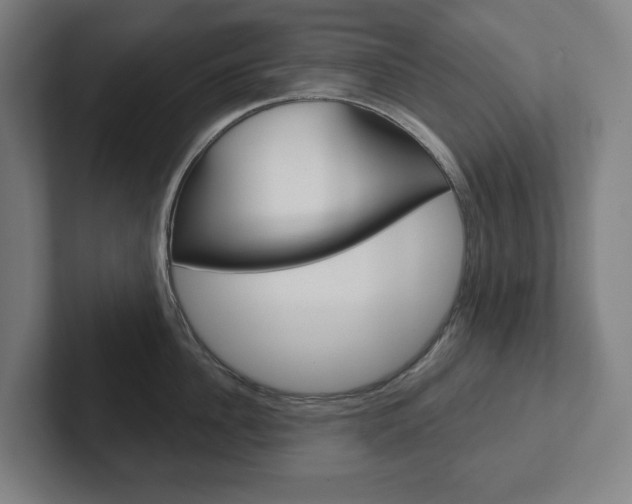 X0000102870956200808181043