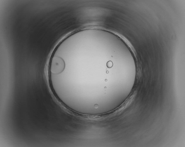 X0000102870957200808181043