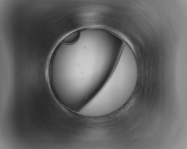 X0000102870959200808181043