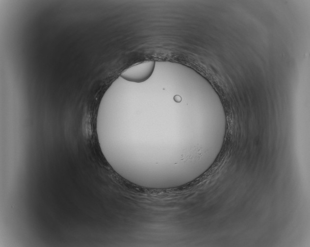X0000102870962200808181042