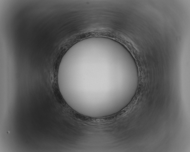 X0000102870966200808181042