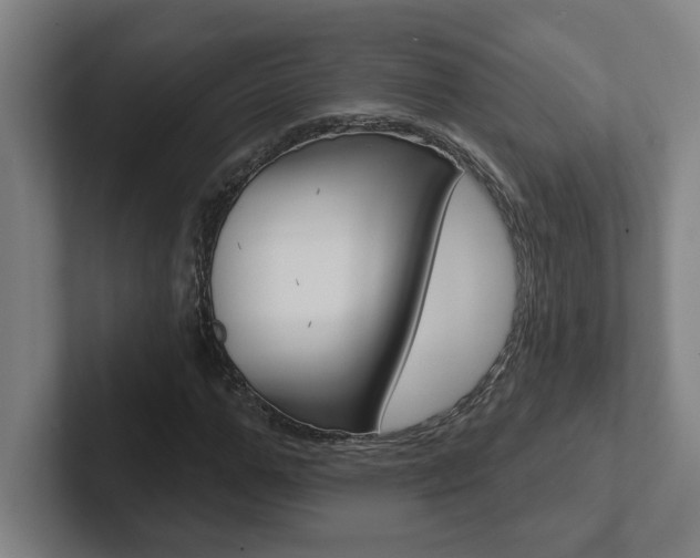 X0000102870967200808181042