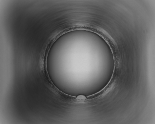 X0000102870969200808181042