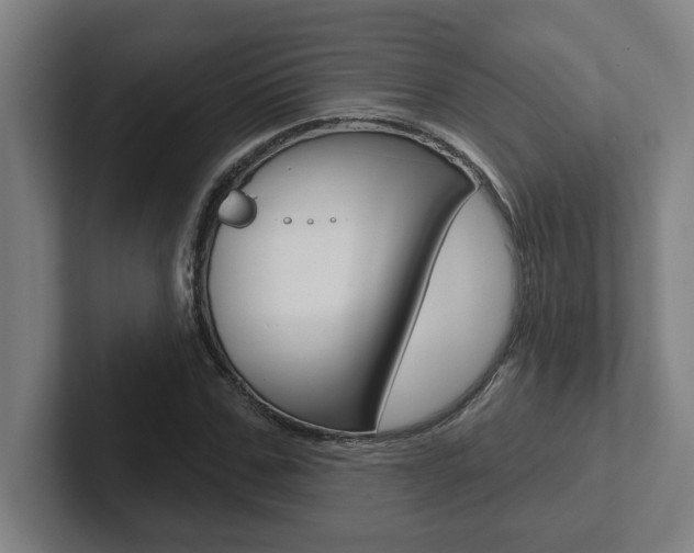 X0000102870971200808181042