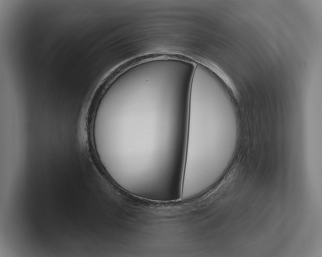 X0000102870972200808181042