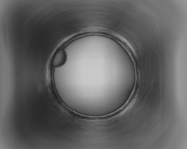 X0000102870973200808181042