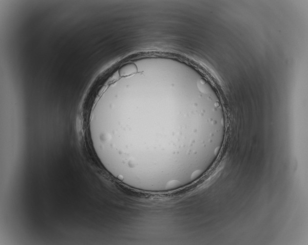 X0000102870974200808181042